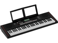 Roland E-X10 Intelligent Arranger Piano 61-teclas
